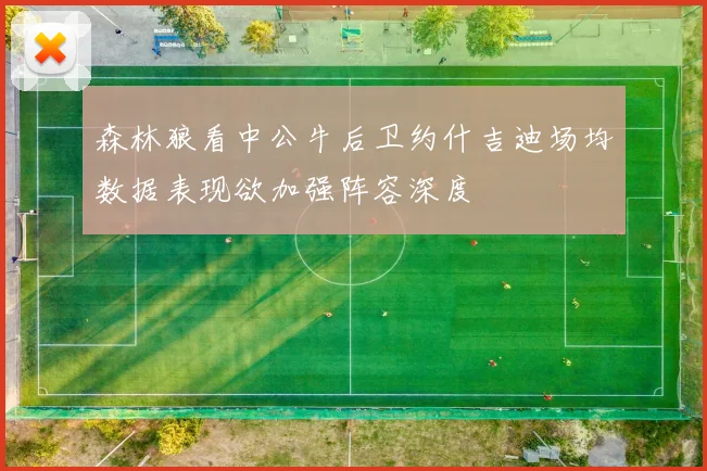 森林狼看中公牛后卫约什吉迪场均数据表现欲加强阵容深度